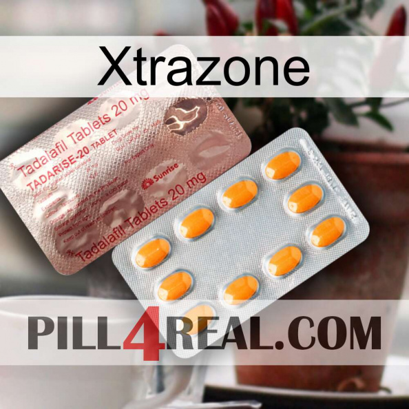 Xtrazone new13.jpg